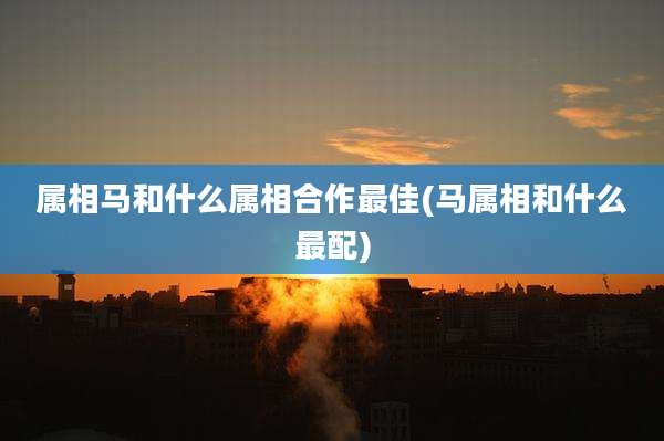 属相马和什么属相合作最佳(马属相和什么最配)