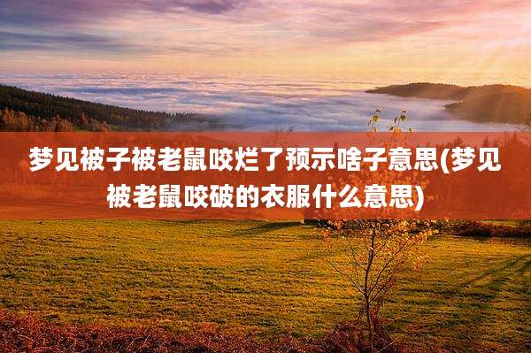 梦见被子被老鼠咬烂了预示啥子意思(梦见被老鼠咬破的衣服什么意思)