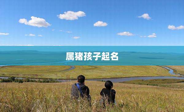 属猪孩子起名