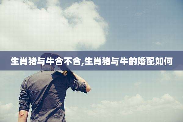 生肖猪与牛合不合,生肖猪与牛的婚配如何