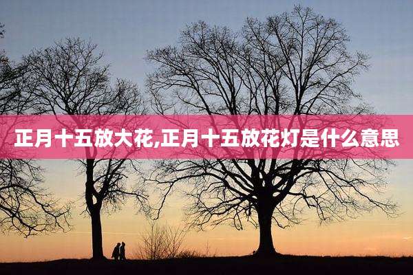 正月十五放大花,正月十五放花灯是什么意思