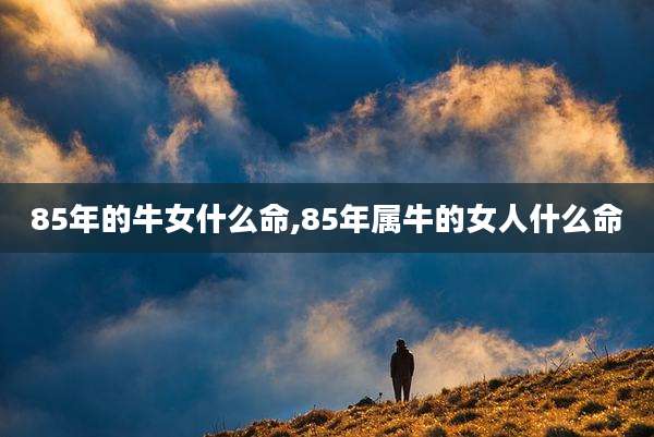 85年的牛女什么命,85年属牛的女人什么命