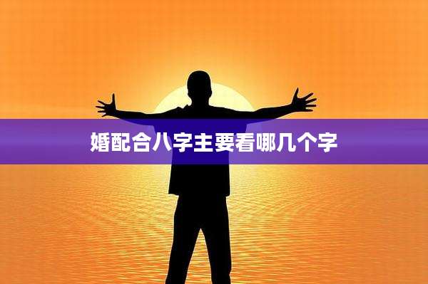 婚配合八字主要看哪几个字