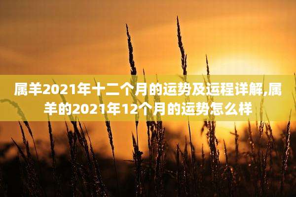属羊2021年十二个月的运势及运程详解,属羊的2021年12个月的运势怎么样