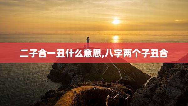 二子合一丑什么意思,八字两个子丑合