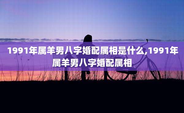 1991年属羊男八字婚配属相是什么,1991年属羊男八字婚配属相