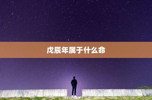 戊辰年属于什么命