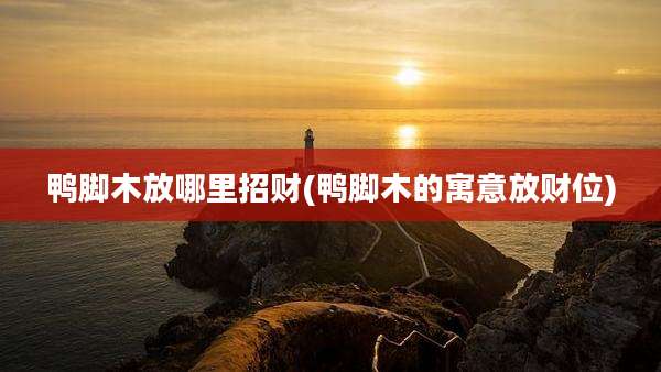 鸭脚木放哪里招财(鸭脚木的寓意放财位)
