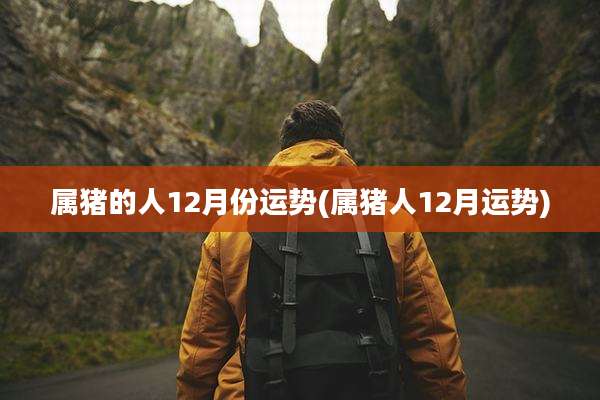 属猪的人12月份运势(属猪人12月运势)