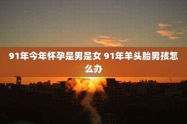91年今年怀孕是男是女 91年羊头胎男孩怎么办