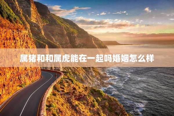 属猪和和属虎能在一起吗婚姻怎么样