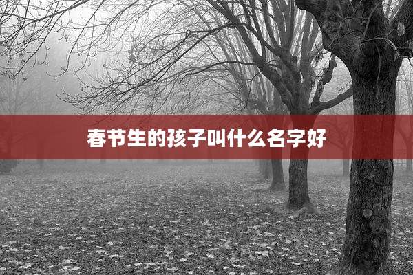 春节生的孩子叫什么名字好