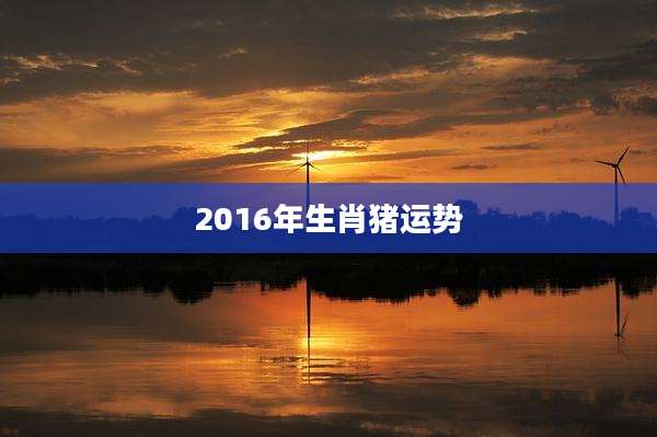 2016年生肖猪运势