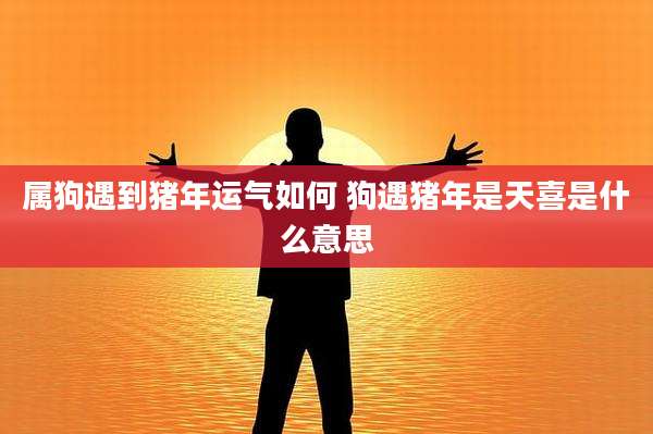 属狗遇到猪年运气如何 狗遇猪年是天喜是什么意思