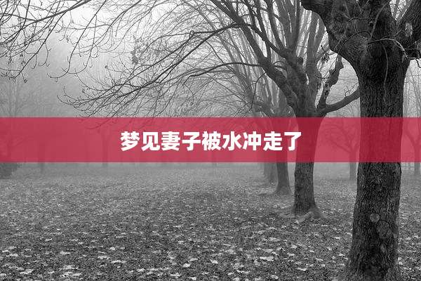 梦见妻子被水冲走了