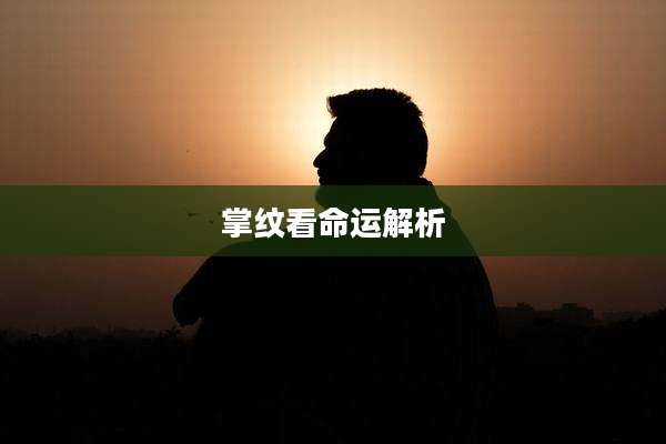 掌纹看命运解析