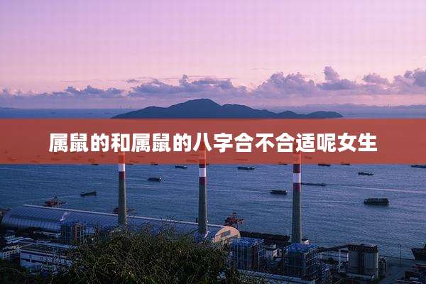 属鼠的和属鼠的八字合不合适呢女生