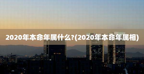 2020年本命年属什么?(2020年本命年属相)