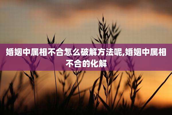 婚姻中属相不合怎么破解方法呢,婚姻中属相不合的化解