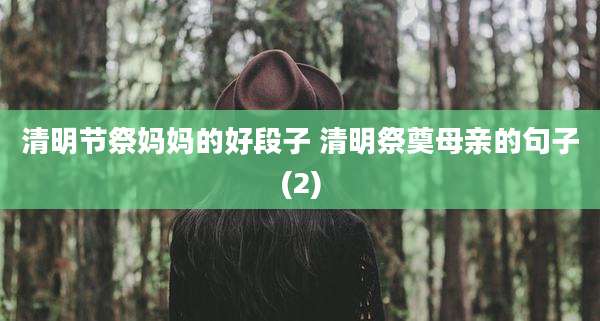 清明节祭妈妈的好段子 清明祭奠母亲的句子(2)