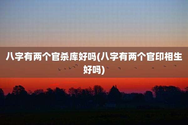 八字有两个官杀库好吗(八字有两个官印相生好吗)