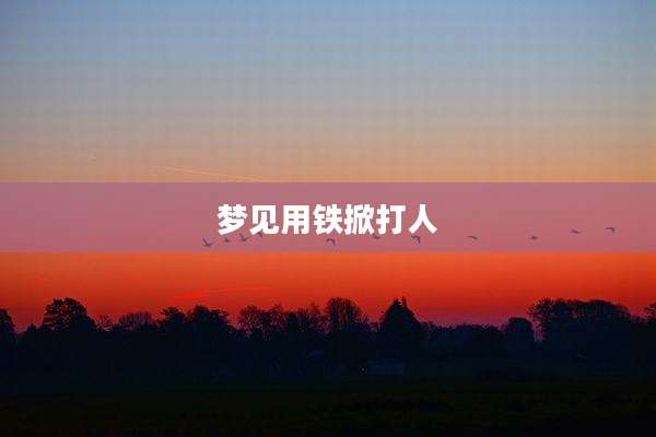 梦见用铁掀打人