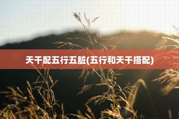 天干配五行五脏(五行和天干搭配)