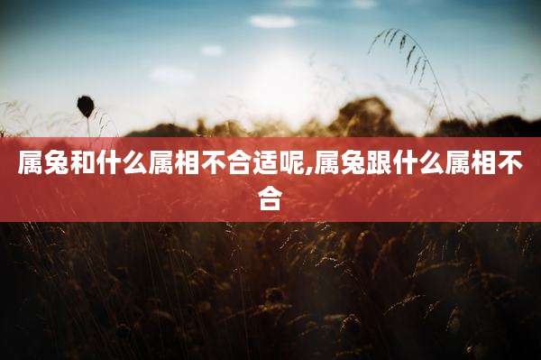 属兔和什么属相不合适呢,属兔跟什么属相不合