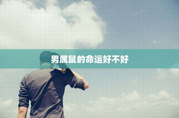 男属鼠的命运好不好