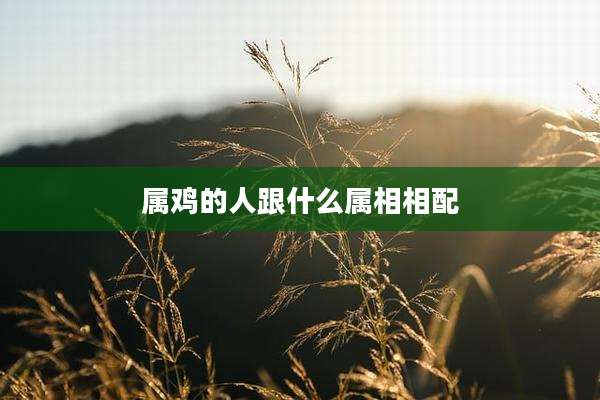 属鸡的人跟什么属相相配