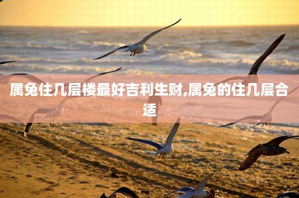 属兔住几层楼最好吉利生财,属兔的住几层合适