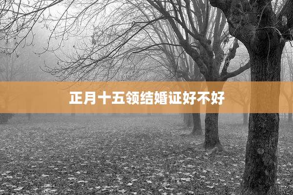 正月十五领结婚证好不好