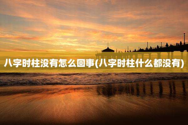 八字时柱没有怎么回事(八字时柱什么都没有)