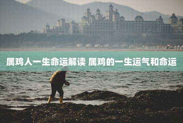 属鸡人一生命运解读 属鸡的一生运气和命运