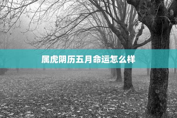 属虎阴历五月命运怎么样