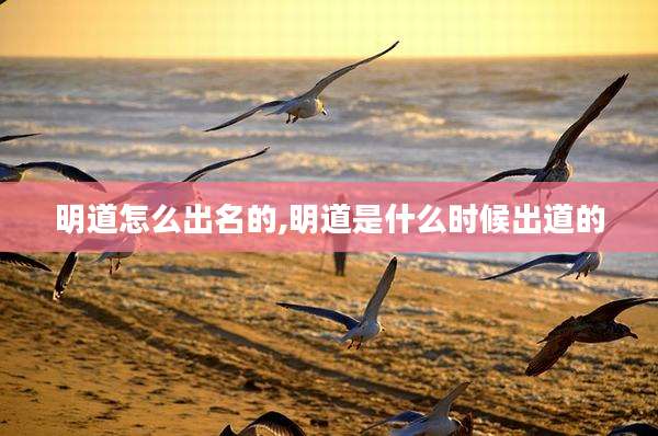 明道怎么出名的,明道是什么时候出道的