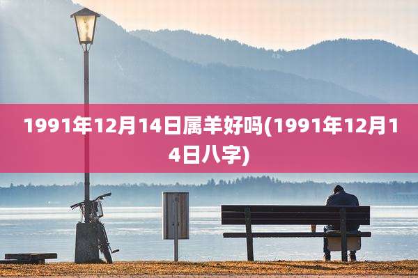 1991年12月14日属羊好吗(1991年12月14日八字)