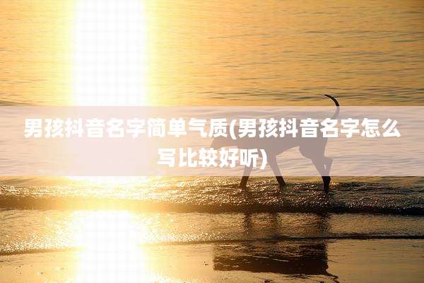 男孩抖音名字简单气质(男孩抖音名字怎么写比较好听)