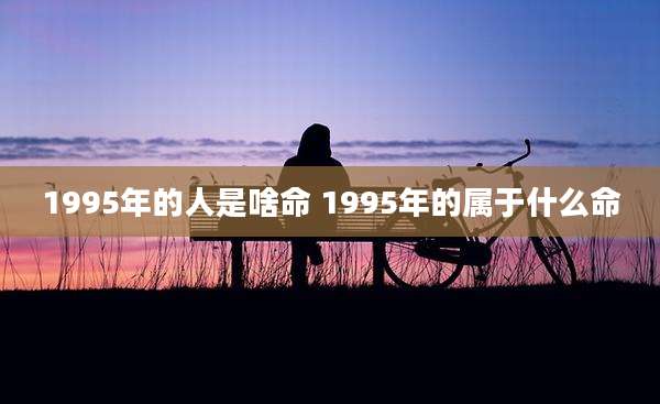 1995年的人是啥命 1995年的属于什么命