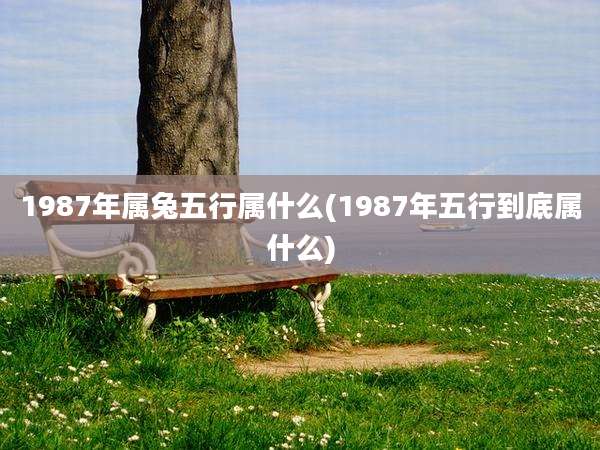 1987年属兔五行属什么(1987年五行到底属什么)