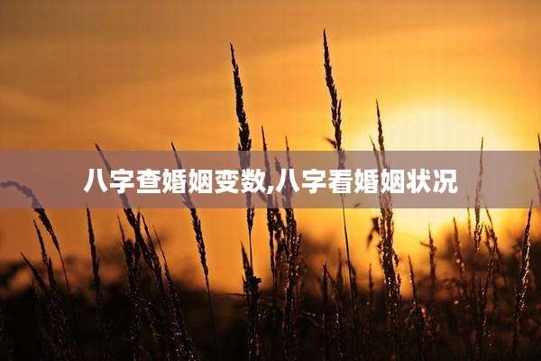 八字查婚姻变数,八字看婚姻状况