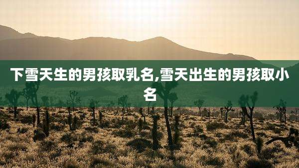 下雪天生的男孩取乳名,雪天出生的男孩取小名