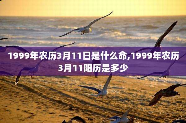 1999年农历3月11日是什么命,1999年农历3月11阳历是多少