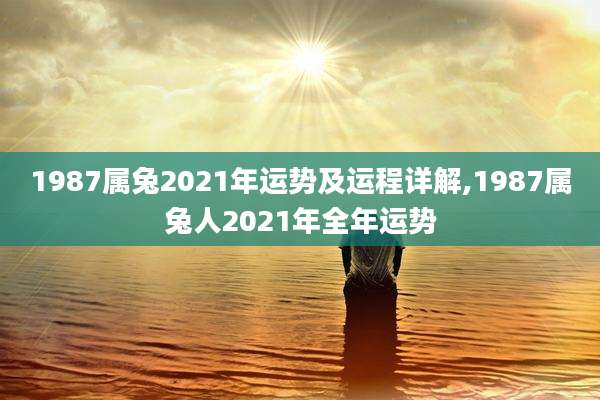 1987属兔2021年运势及运程详解,1987属兔人2021年全年运势