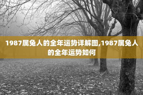 1987属兔人的全年运势详解图,1987属兔人的全年运势如何