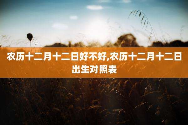 农历十二月十二日好不好,农历十二月十二日出生对照表