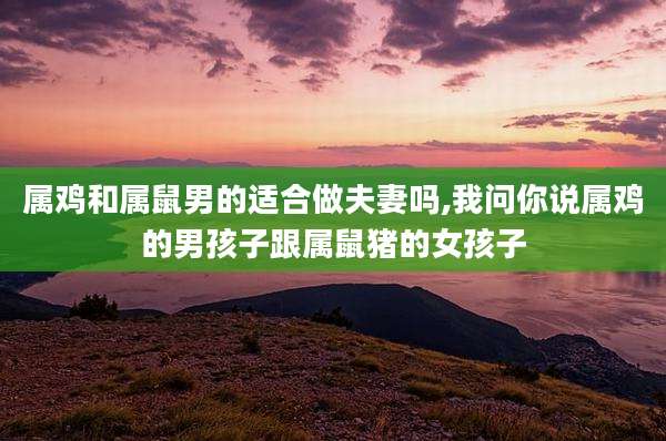 属鸡和属鼠男的适合做夫妻吗,我问你说属鸡的男孩子跟属鼠猪的女孩子