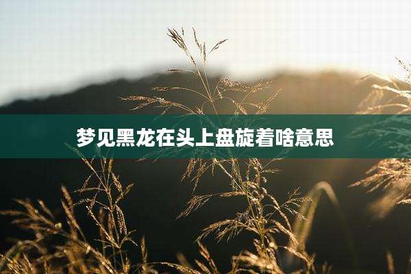 梦见黑龙在头上盘旋着啥意思