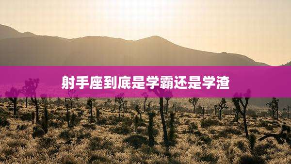 射手座到底是学霸还是学渣
