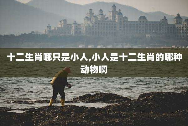 十二生肖哪只是小人,小人是十二生肖的哪种动物啊